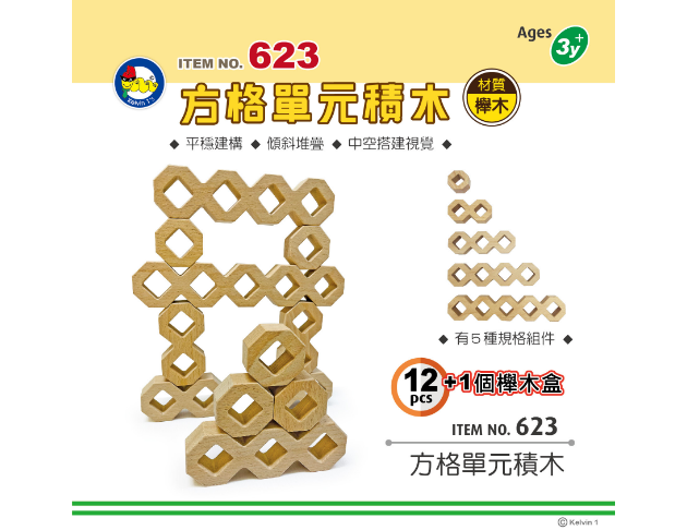 #623  方格單元積木(12pcs+1個櫸木盒)
